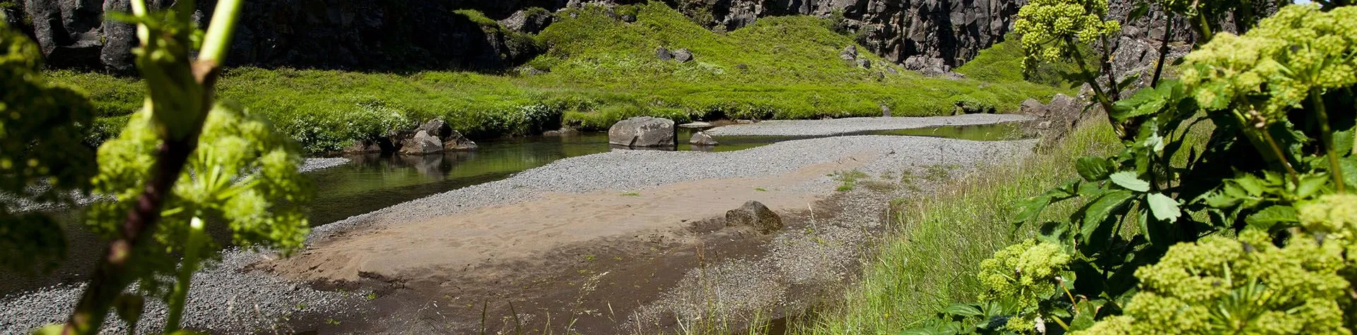 Gyllene Cirkeln och Snorkling i Silfra