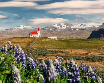 Ingjaldshol kyrka i Vík, södra Island.