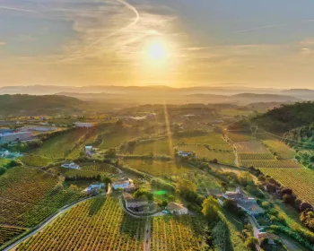 Vinområdet Penedès i Katalonien.