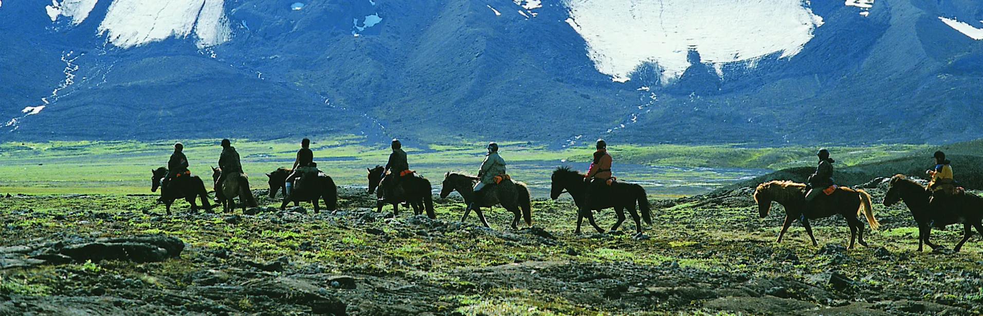 Ridning, kjölur, glaciär, island, islandshäst